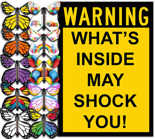 I Warned You greeting card with flying butterfly from butterflyers.com