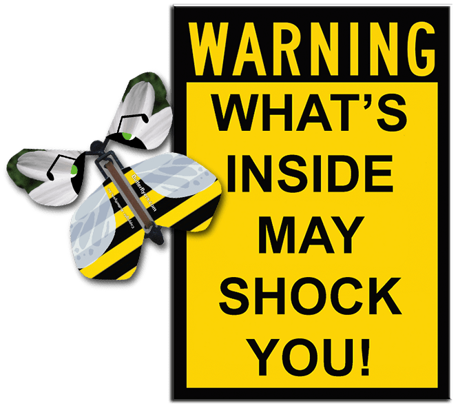 Warning Greeting Card with Bumble Bee wind up flying butterfly from butterflyers.com