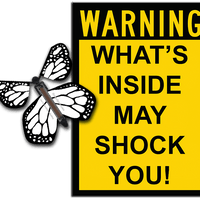 Warning Greeting Card with Color Me monarch wind up flying butterfly from butterflyers.com
