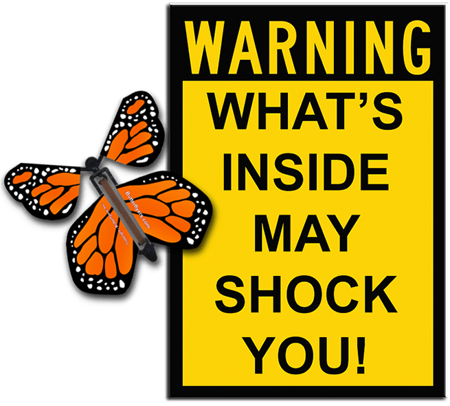 Warning Greeting Card with Orange wind up flying butterfly from butterflyers.com