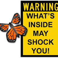 Warning Greeting Card with Orange wind up flying butterfly from butterflyers.com