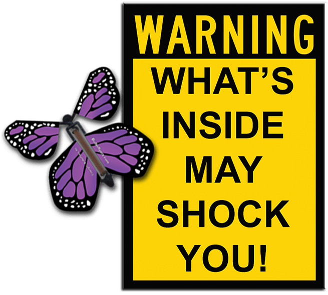 Warning Greeting Card with Purple wind up flying butterfly from butterflyers.com