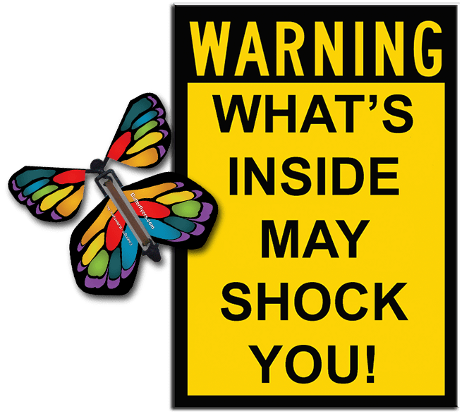 Warning Greeting Card with Stained Glass monarch wind up flying butterfly from butterflyers.com