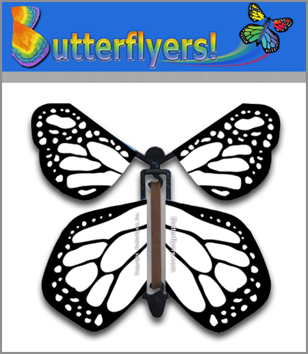 Color Me Monarchy Wind Up Flying Butterfly For Greeting Cards by Butterflyers.com