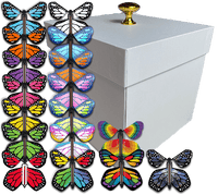 
              White Exploding Butterfly Gift Box With 4 Wind Up Flying Monarch Butterflies from butterflyers.com
            