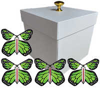 
              White Exploding Butterfly Gift Box With 4 Green Monarch Wind Up Flying Butterflies from butterflyers.com
            