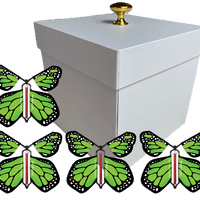 White Exploding Butterfly Gift Box With 4 Green Monarch Wind Up Flying Butterflies from butterflyers.com