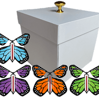 White Exploding Butterfly Gift Box With 4 Multi Color Monarch Wind Up Flying Butterflies from butterflyers.com
