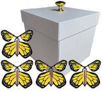 
              White Exploding Butterfly Gift Box With 4 Yellow Monarch Wind Up Flying Butterflies from butterflyers.com
            
