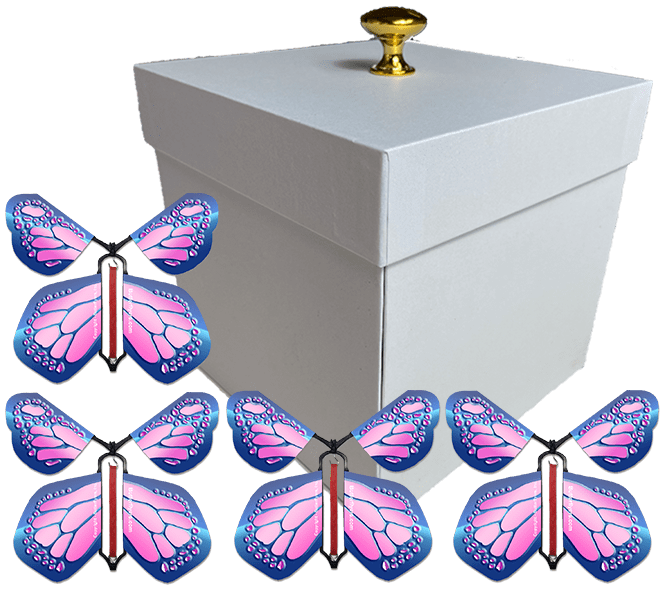 White Exploding Butterfly Gift Box With 4 Cobalt Pink Wind Up Flying Butterflies from butterflyers.com