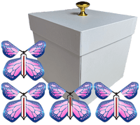 
              White Exploding Butterfly Gift Box With 4 Cobalt Pink Wind Up Flying Butterflies from butterflyers.com
            