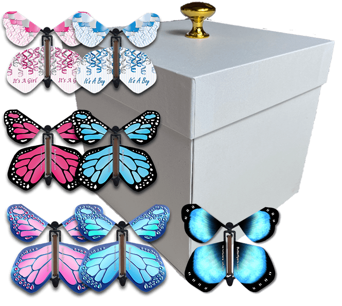 White Exploding Butterfly Box With Gender Reveal Flying Butterflies From Butterflyers.com