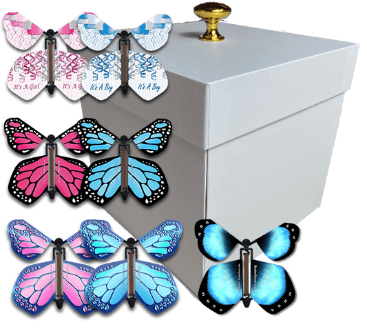 White Exploding Butterfly Box With Gender Reveal Flying Butterflies From Butterflyers.com