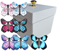 
              White Exploding Butterfly Box With Gender Reveal Flying Butterflies From Butterflyers.com
            