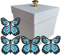
              White Exploding Gender Reveal Box With Blue Monarch Flying Butterflies From Butterflyers.com
            