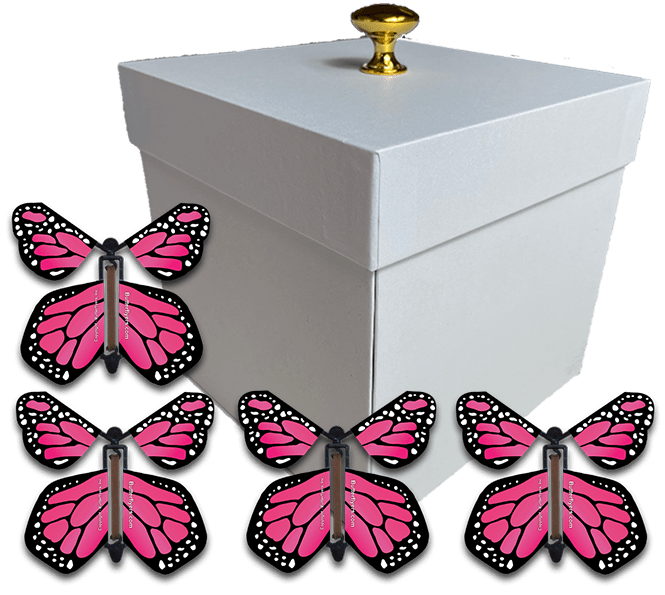 White Exploding Gender Reveal Box With Pink Monarch Flying Butterflies From Butterflyers.com