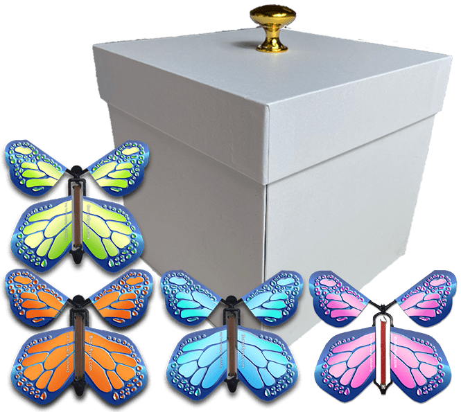 White Exploding Butterfly Gift Box With 4 Multi Cobalt Color Wind Up Flying Butterflies from butterflyers.com