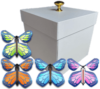 
              White Exploding Butterfly Gift Box With 4 Multi Cobalt Color Wind Up Flying Butterflies from butterflyers.com
            