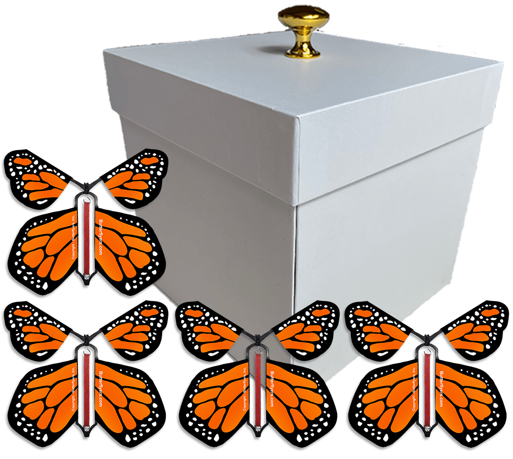 White Exploding Butterfly Gift Box With 4 Orange Monarch Wind Up Flying Butterflies from butterflyers.com