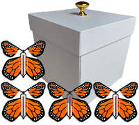 
              White Exploding Butterfly Gift Box With 4 Orange Monarch Wind Up Flying Butterflies from butterflyers.com
            