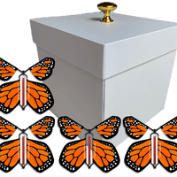 White Exploding Butterfly Gift Box With 4 Orange Monarch Wind Up Flying Butterflies from butterflyers.com
