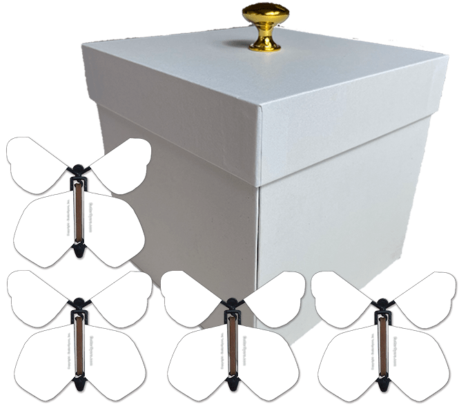 White Exploding Butterfly Birthday Gift Box With 4 Blank Wind Up Flying Butterflies from butterflyers.com