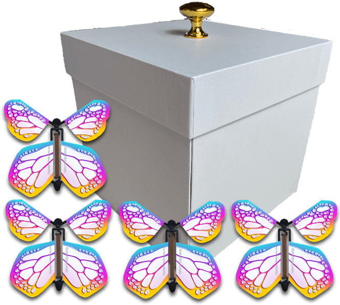 White Exploding Butterfly Gift Box With 4 Bismuth Color Wind Up Flying Butterflies from butterflyers.com