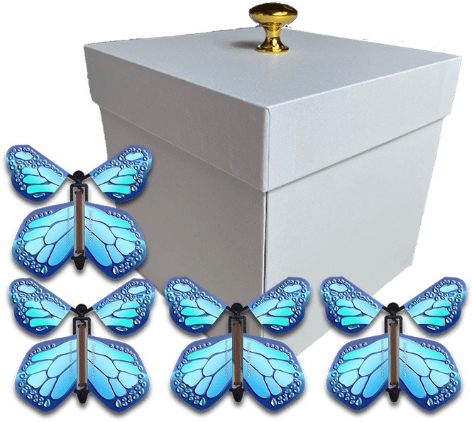 White Exploding Butterfly Gift Box With 4 Cobalt Blue Wind Up Flying Butterflies from butterflyers.com