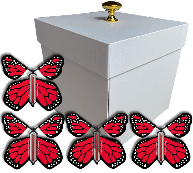 White Valentines Day Exploding Butterfly Box With Red Monarch Wind Up Flying Butterflies from butterflyers.com