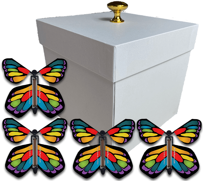 White Exploding Butterfly Gift Box With 4 Stained Glass Wind Up Flying Butterflies from butterflyers.com