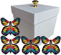 
              White Exploding Butterfly Gift Box With 4 Stained Glass Wind Up Flying Butterflies from butterflyers.com
            