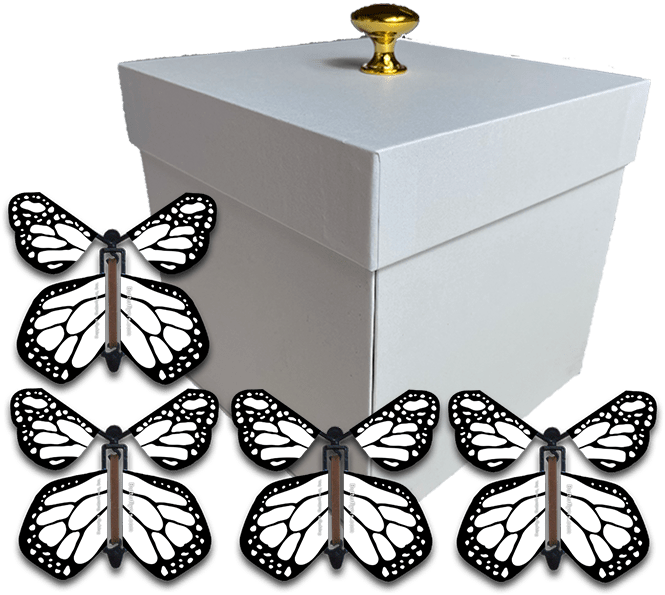 White Exploding Butterfly Gift Box With 4 White Monarch Wind Up Flying Butterflies from butterflyers.com