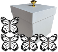 
              White Exploding Butterfly Gift Box With 4 White Monarch Wind Up Flying Butterflies from butterflyers.com
            