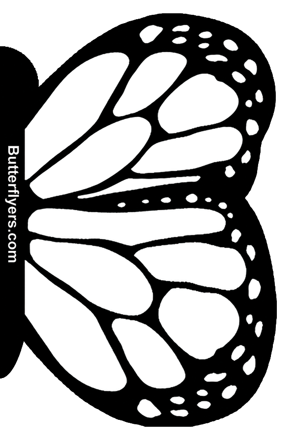 White Monarch Exploding Flying Butterfly Booklet From Butterflyers.com