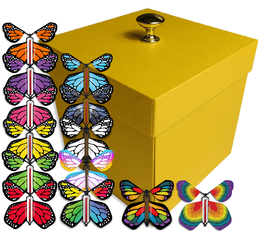 Fly Gift Box Surprise Flying Butterfly Gift Boxes – Butterflyers