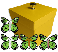 
              Yellow Exploding Butterfly Gift Box With 4 Green Monarch Wind Up Flying Butterflies from butterflyers.com
            