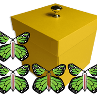 Yellow Exploding Butterfly Gift Box With 4 Green Monarch Wind Up Flying Butterflies from butterflyers.com
