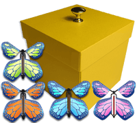 
              Yellow Exploding Butterfly Gift Box With 4 Multi Cobalt Color Wind Up Flying Butterflies from butterflyers.com
            