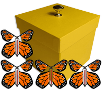 
              Yellow Exploding Butterfly Gift Box With 4 Orange Monarch Wind Up Flying Butterflies from butterflyers.com
            