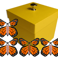 Yellow Exploding Butterfly Gift Box With 4 Orange Monarch Wind Up Flying Butterflies from butterflyers.com