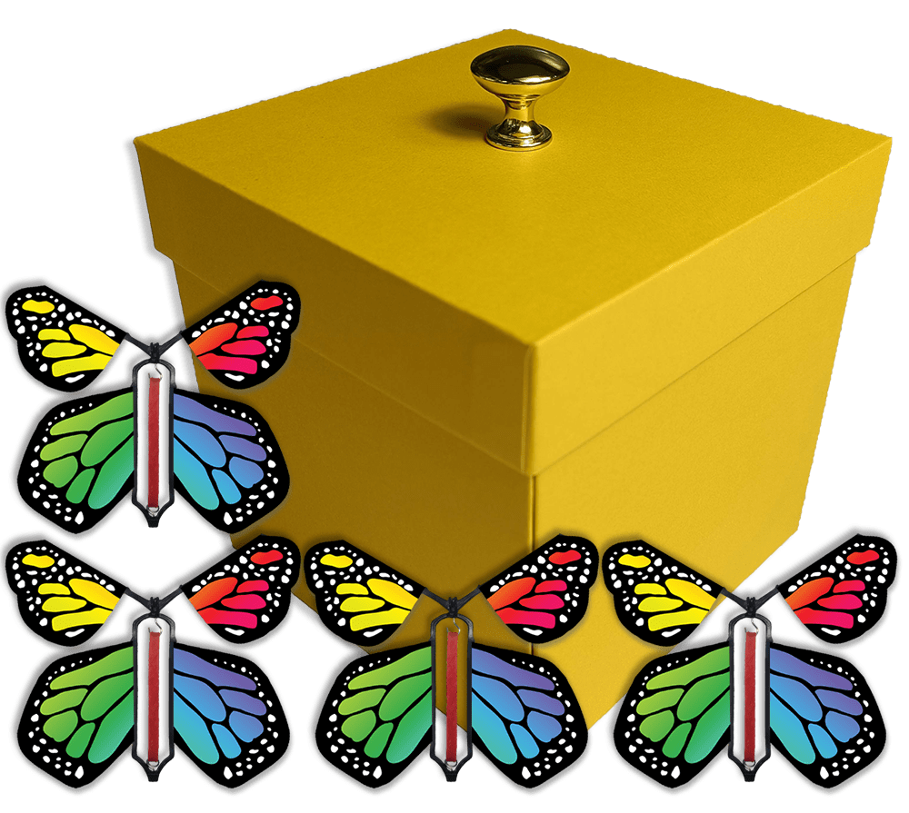 Pink Exploding Butterfly Box With Monarch Flying Butterflies 