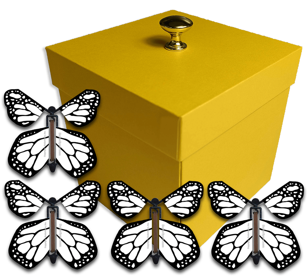 Yellow Exploding Butterfly Gift Box With 4 White Monarch Wind Up Flying Butterflies from butterflyers.com