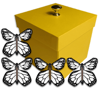 
              Yellow Exploding Butterfly Gift Box With 4 White Monarch Wind Up Flying Butterflies from butterflyers.com
            
