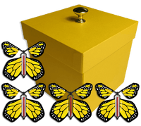 
              Yellow Exploding Butterfly Gift Box With 4 Yellow Monarch Wind Up Flying Butterflies from butterflyers.com
            