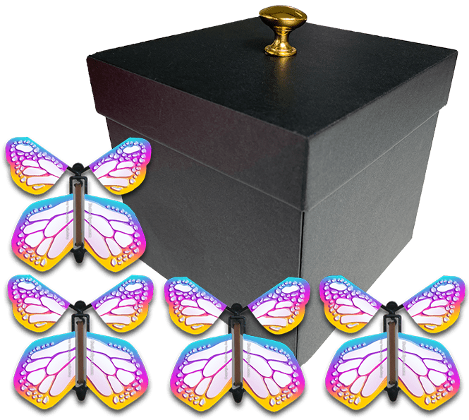 Monarch Surprise Flying Butterfly Box - Black Gift Box & 4 Wind Up Flying Butterflies