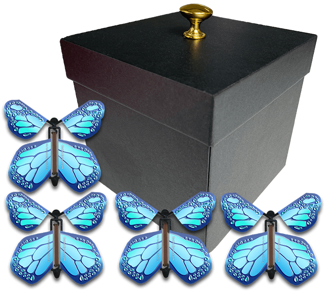 Black Exploding Butterfly Gift Box With 4 Cobalt Blue Wind Up Flying Butterflies from butterflyers.com