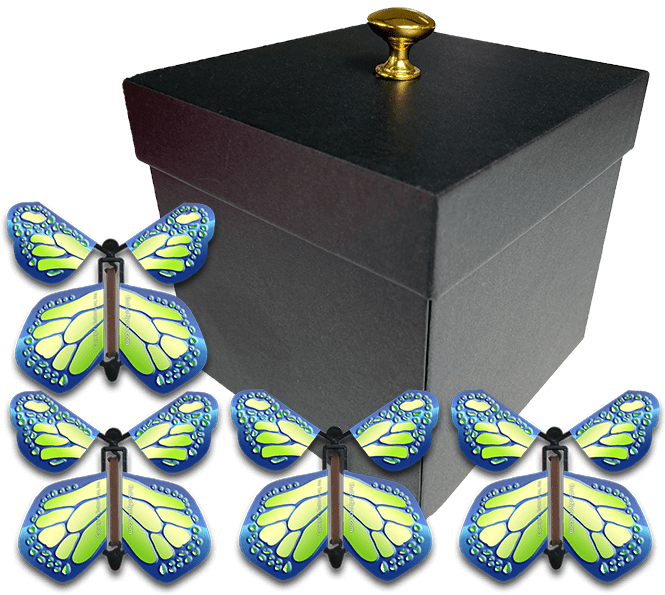 Black Exploding Butterfly Gift Box With 4 Cobalt Green Wind Up Flying Butterflies from butterflyers.com