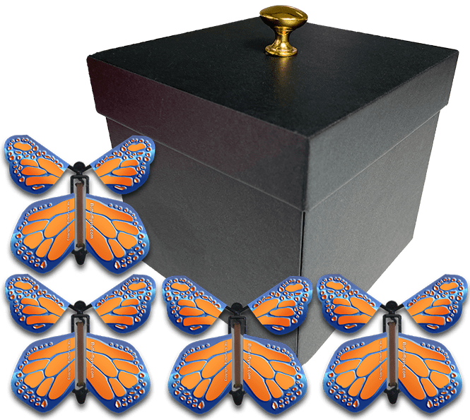 Black Exploding Butterfly Gift Box With 4 Cobalt Orange Wind Up Flying Butterflies from butterflyers.com