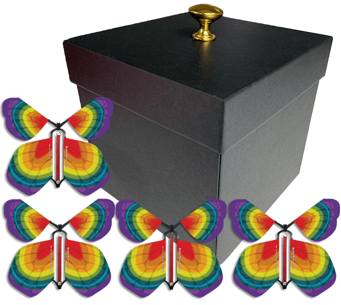 Black Exploding Butterfly Gift Box With 4 Tye Dye Wind Up Flying Butterflies from butterflyers.com