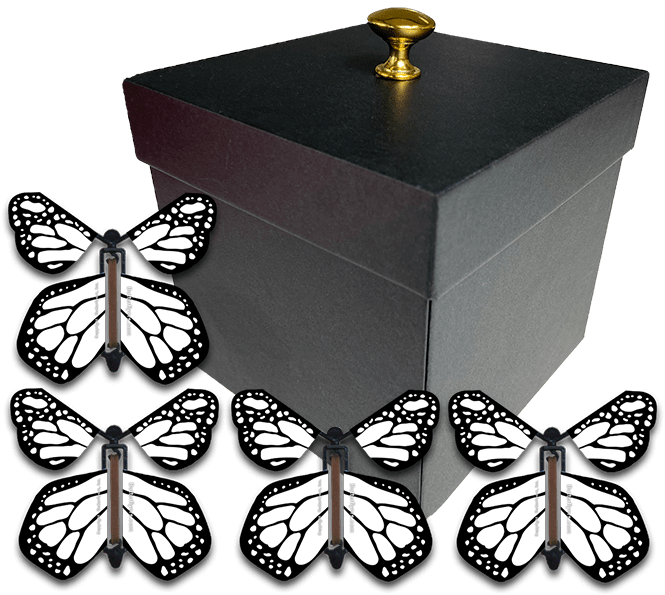 Black Exploding Butterfly Gift Box With 4 White Monarch Wind Up Flying Butterflies from butterflyers.com